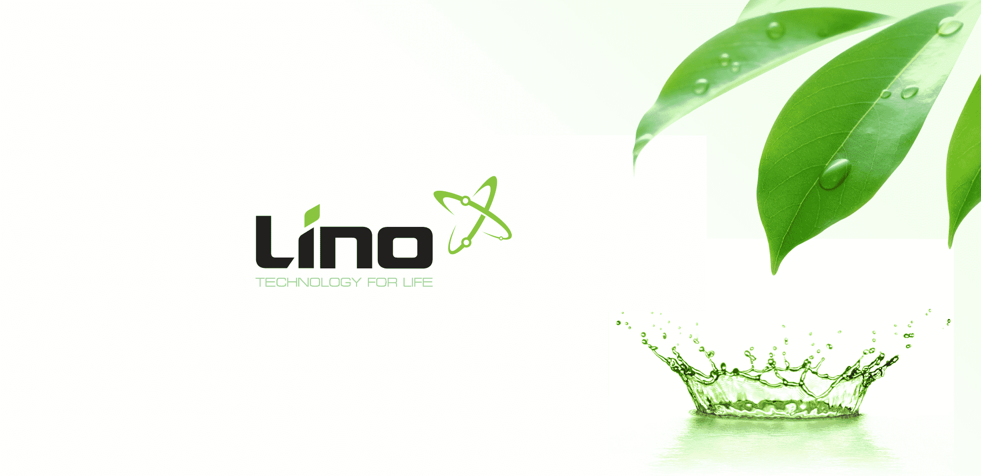 logo-Lino_01.png