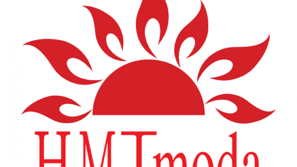 Mẫu thiết kế logo phong thủy mệnh Hỏa