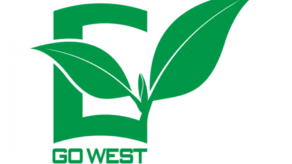 Mẫu thiết kế logo phong thủy mệnh Mộc
